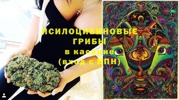 дмт Алексин