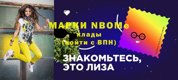 дмт Алексин