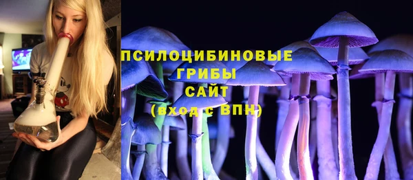 дмт Алексин